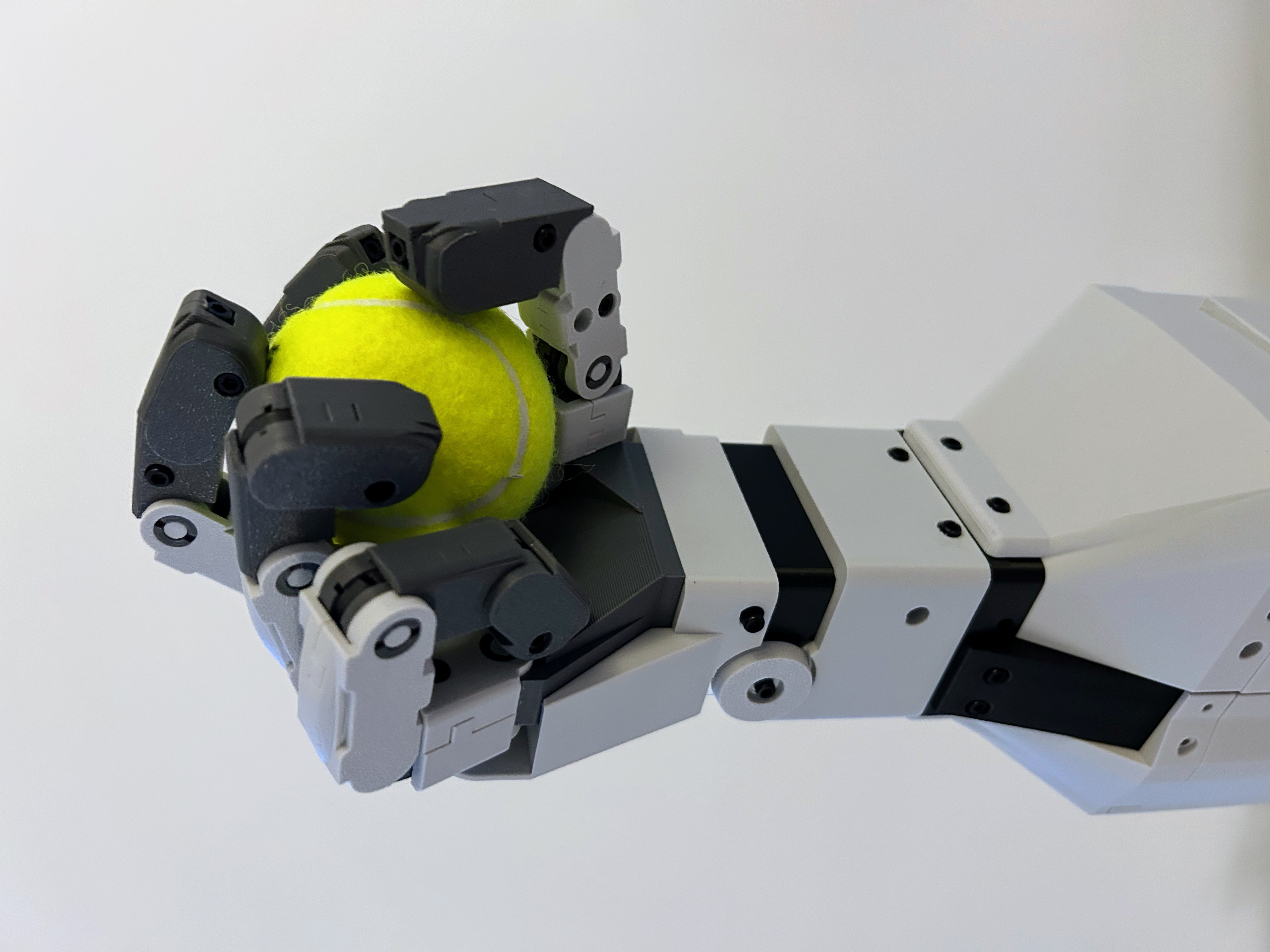 Deni Labs Robotics